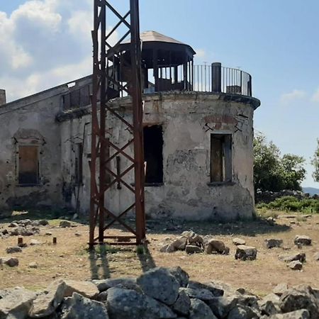 Casa Vacanze Il Pastore Tedesco Portoferraio Luaran gambar