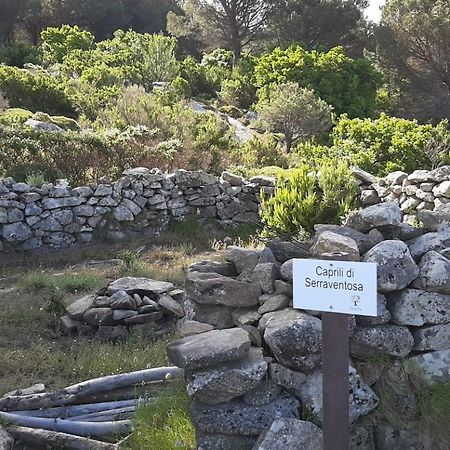 Casa Vacanze Il Pastore Tedesco Portoferraio Luaran gambar
