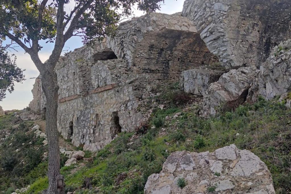 Casa Vacanze Il Pastore Tedesco Portoferraio Luaran gambar
