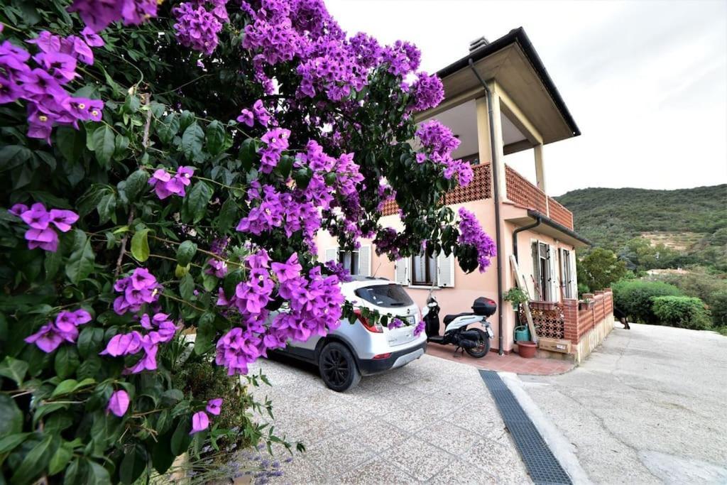 Casa Vacanze Il Pastore Tedesco Portoferraio Luaran gambar