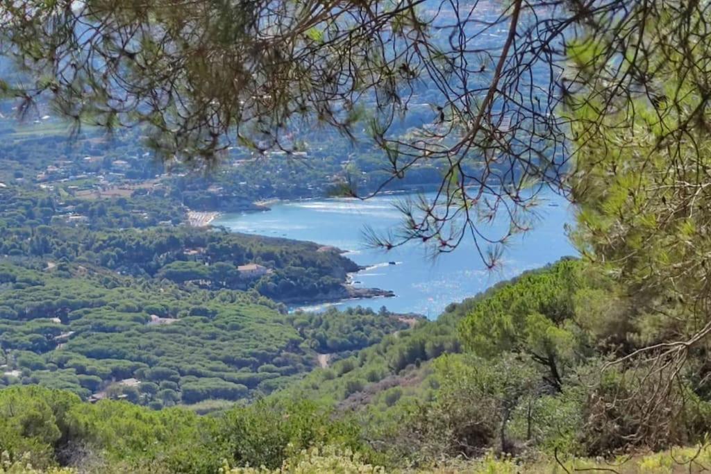 Casa Vacanze Il Pastore Tedesco Portoferraio Luaran gambar