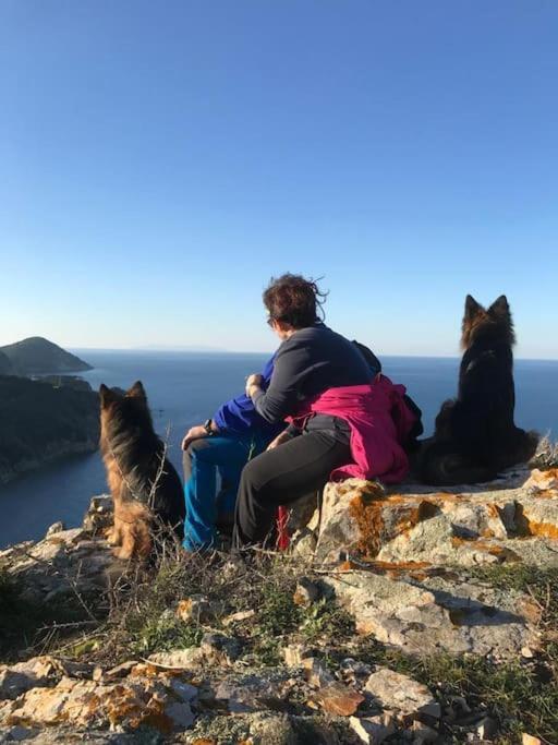 Casa Vacanze Il Pastore Tedesco Portoferraio Luaran gambar
