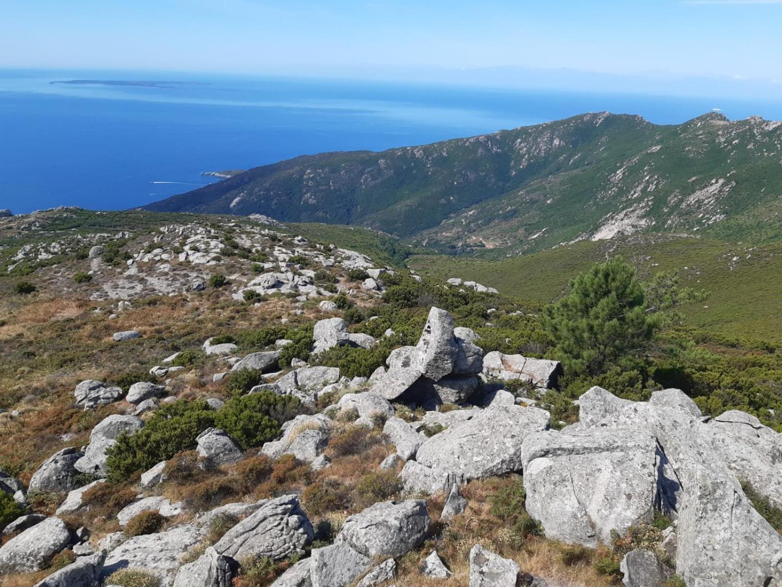 Casa Vacanze Il Pastore Tedesco Portoferraio Luaran gambar