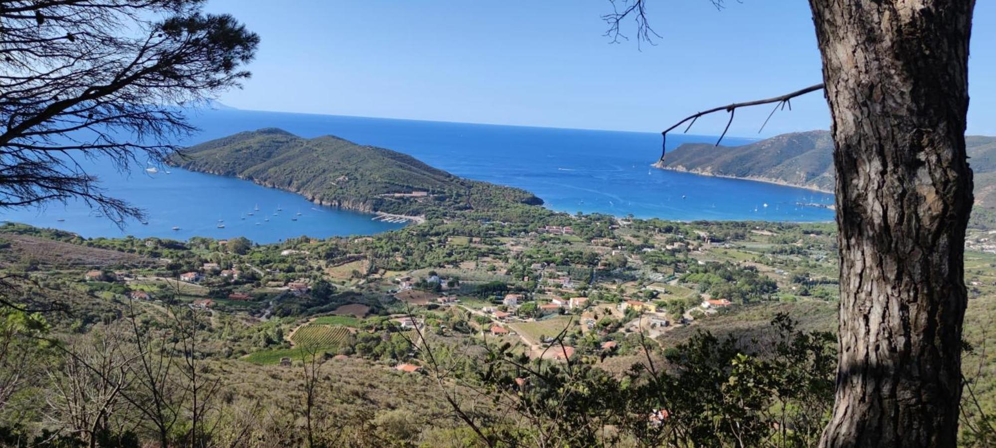 Casa Vacanze Il Pastore Tedesco Portoferraio Luaran gambar