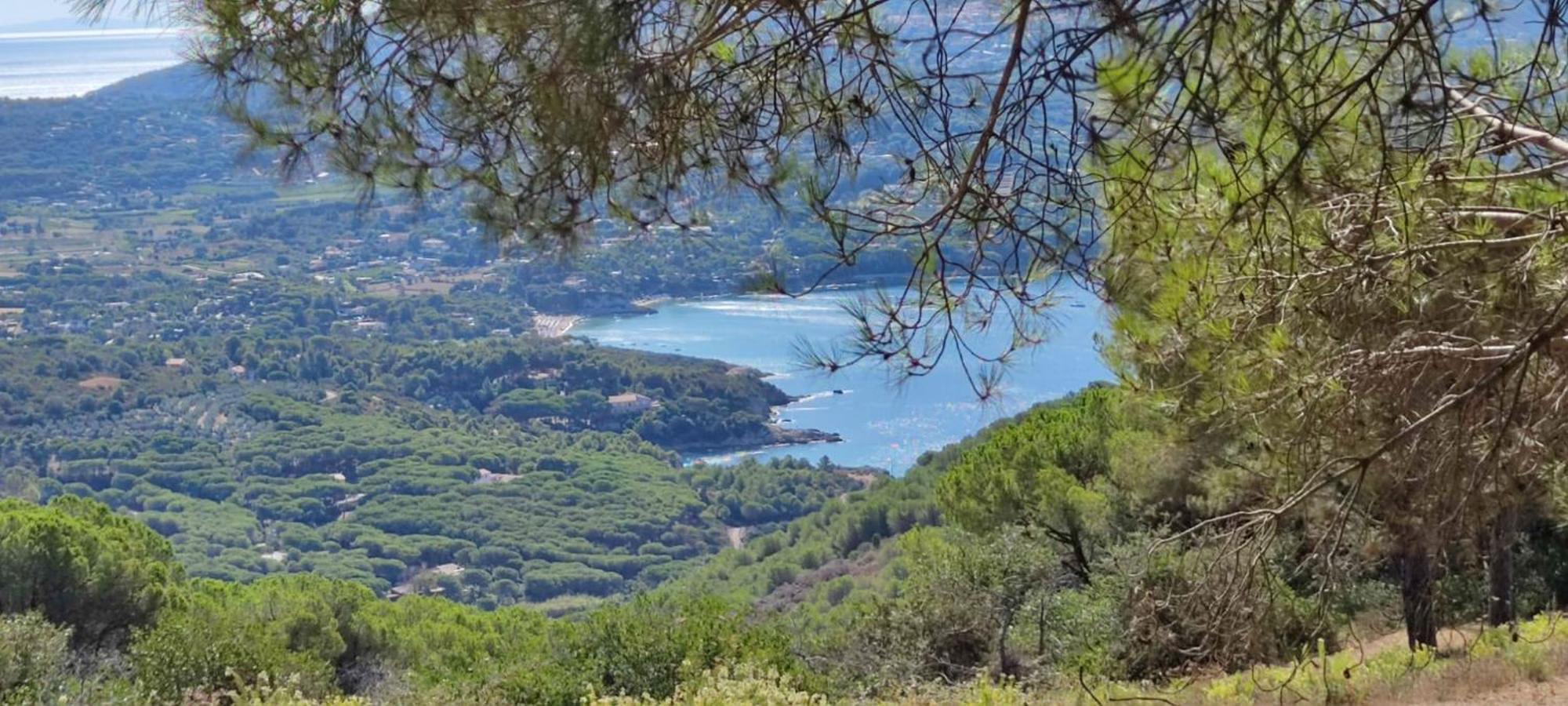 Casa Vacanze Il Pastore Tedesco Portoferraio Luaran gambar