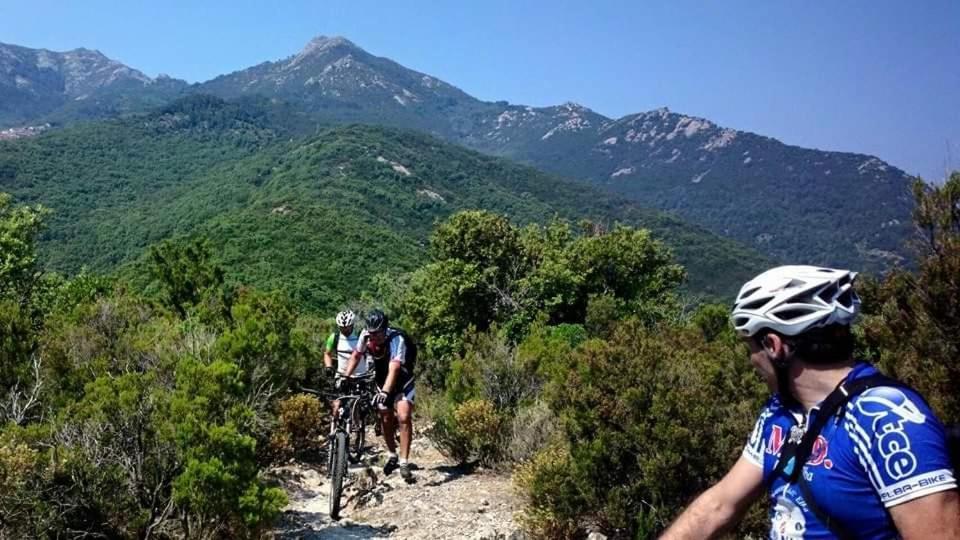 Casa Vacanze Il Pastore Tedesco Portoferraio Luaran gambar